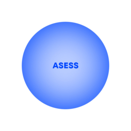 Button Asess